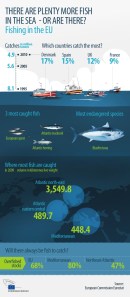 EU fishing stats 040213