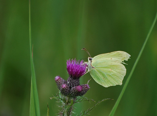 7895409316_3abe55fe8b