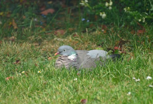 49930145537_6c4790cfeb_b